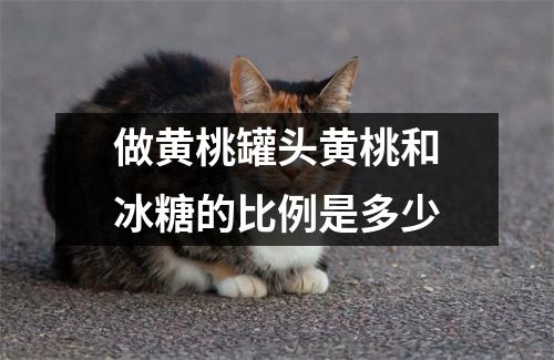 做黄桃罐头黄桃和冰糖的比例是多少