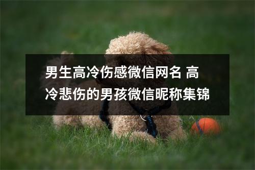 男生高冷伤感微信网名 高冷悲伤的男孩微信昵称集锦