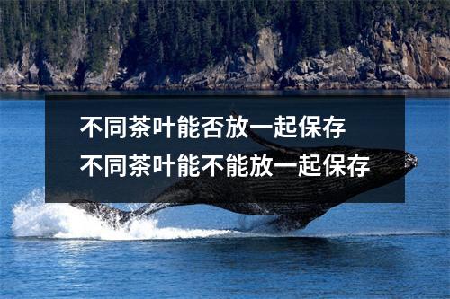 不同茶叶能否放一起保存 不同茶叶能不能放一起保存