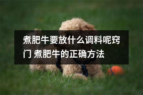 煮肥牛要放什么调料呢窍门 煮肥牛的正确方法