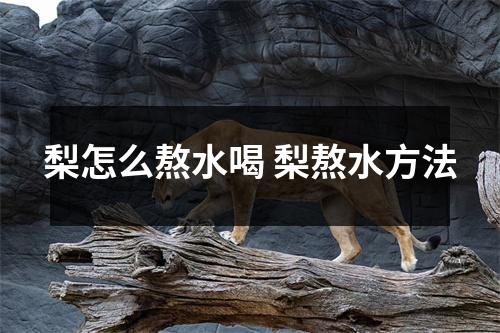 梨怎么熬水喝 梨熬水方法