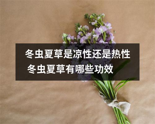 冬虫夏草是凉性还是热性 冬虫夏草有哪些功效 冬虫夏草是凉性还是热性 冬虫夏草有哪些功效