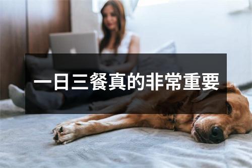 一日三餐真的非常重要