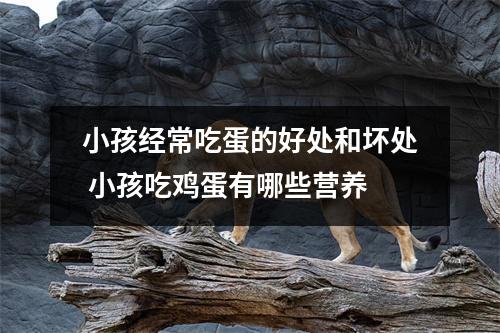 小孩经常吃蛋的好处和坏处 小孩吃鸡蛋有哪些营养