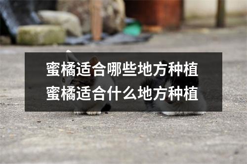 蜜橘适合哪些地方种植 蜜橘适合什么地方种植