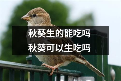 秋葵生的能吃吗 秋葵可以生吃吗