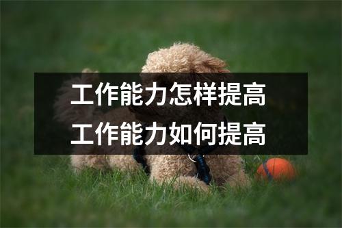 工作能力怎样提高 工作能力如何提高