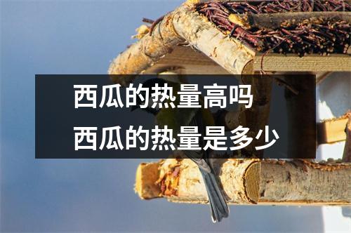 西瓜的热量高吗 西瓜的热量是多少