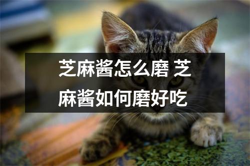 芝麻酱怎么磨 芝麻酱如何磨好吃