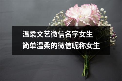 温柔文艺微信名字女生 简单温柔的微信昵称女生