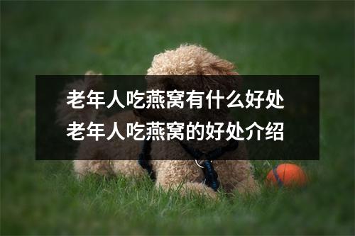 老年人吃燕窝有什么好处 老年人吃燕窝的好处介绍