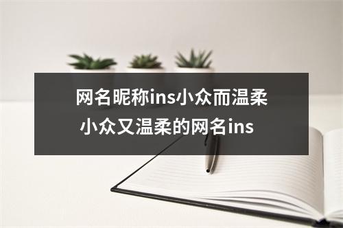网名昵称ins小众而温柔 小众又温柔的网名ins