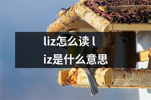 liz怎么读 liz是什么意思