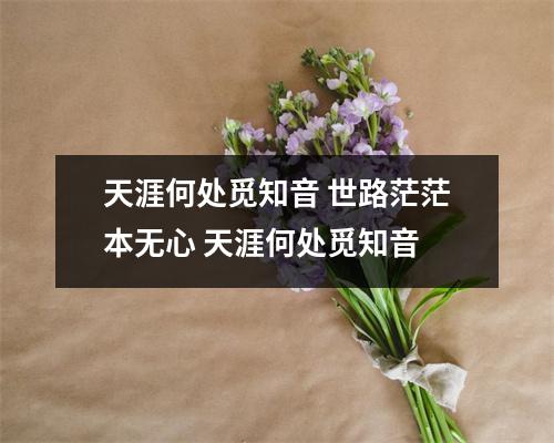 天涯何处觅知音 世路茫茫本无心 天涯何处觅知音
