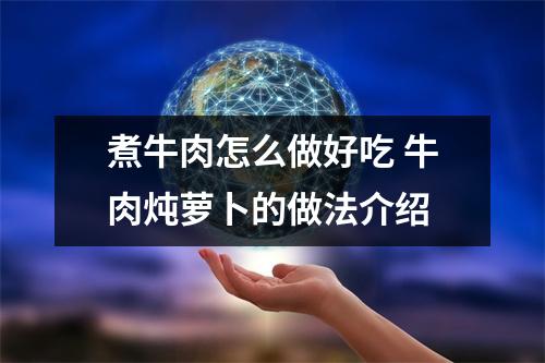 煮牛肉怎么做好吃 牛肉炖萝卜的做法介绍