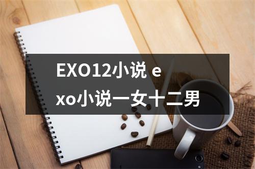 EXO12小说 exo小说一女十二男