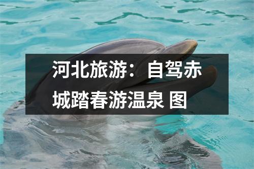 河北旅游：自驾赤城踏春游温泉 图