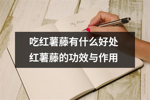 吃红薯藤有什么好处 红薯藤的功效与作用