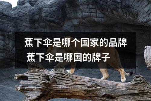 蕉下伞是哪个国家的品牌 蕉下伞是哪国的牌子