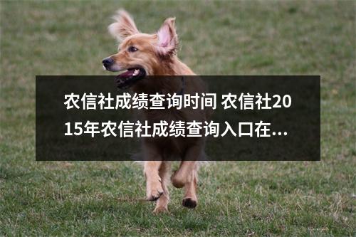 农信社成绩查询时间 农信社2015年农信社成绩查询入口在哪里