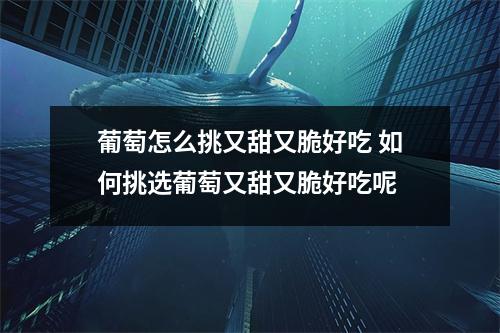 葡萄怎么挑又甜又脆好吃 如何挑选葡萄又甜又脆好吃呢