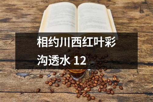 相约川西红叶彩沟透水 12