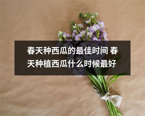 春天种西瓜的最佳时间 春天种植西瓜什么时候最好