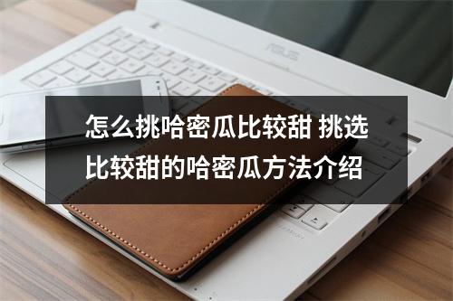 怎么挑哈密瓜比较甜 挑选比较甜的哈密瓜方法介绍