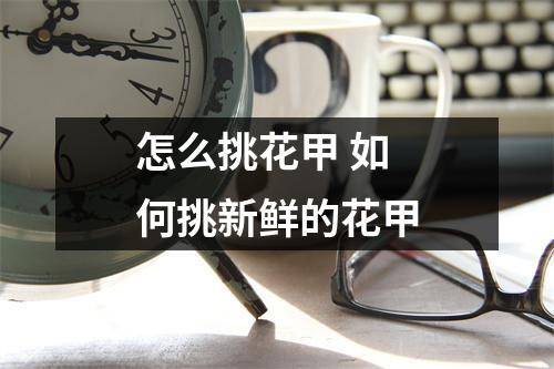 怎么挑花甲 如何挑新鲜的花甲