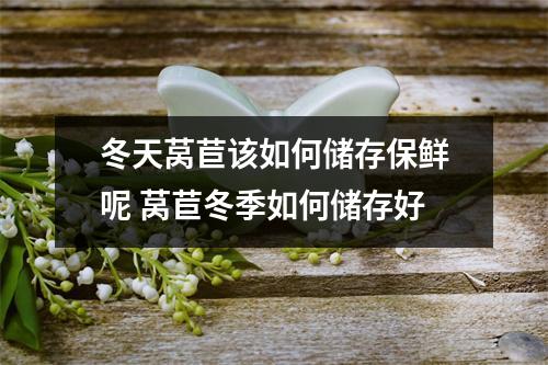 冬天莴苣该如何储存保鲜呢 莴苣冬季如何储存好