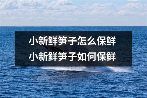 小新鲜笋子怎么保鲜 小新鲜笋子如何保鲜