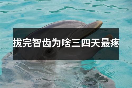 拔完智齿为啥三四天最疼