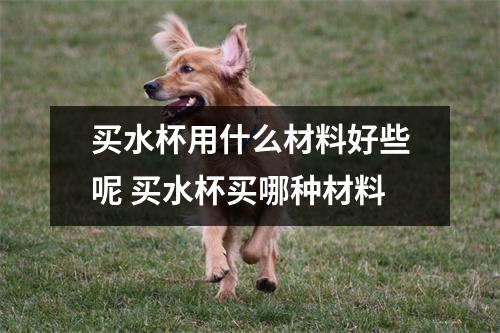 买水杯用什么材料好些呢 买水杯买哪种材料