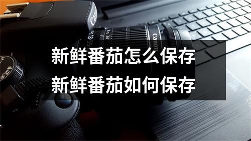 新鲜番茄怎么保存 新鲜番茄如何保存