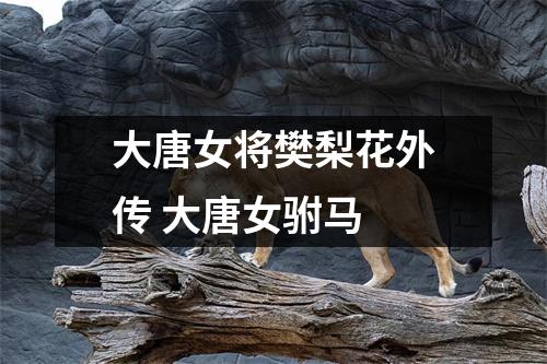 大唐女将樊梨花外传 大唐女驸马