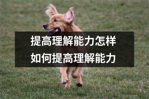 提高理解能力怎样 如何提高理解能力