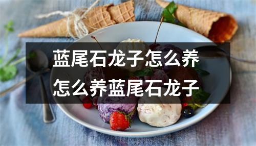 蓝尾石龙子怎么养 怎么养蓝尾石龙子