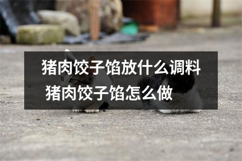 猪肉饺子馅放什么调料 猪肉饺子馅怎么做