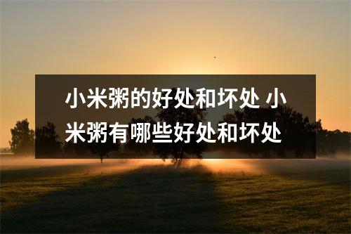 小米粥的好处和坏处 小米粥有哪些好处和坏处