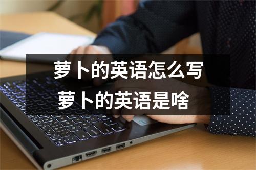 萝卜的英语怎么写 萝卜的英语是啥