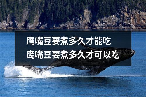 鹰嘴豆要煮多久才能吃 鹰嘴豆要煮多久才可以吃
