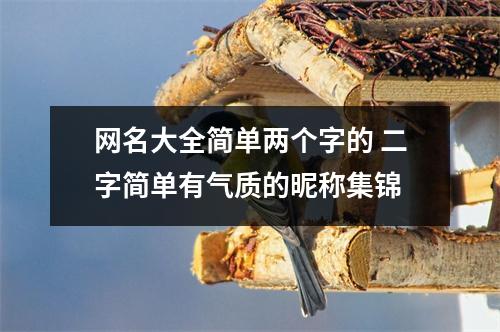 网名大全简单两个字的 二字简单有气质的昵称集锦