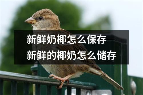 新鲜奶椰怎么保存 新鲜的椰奶怎么储存