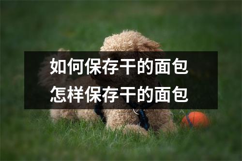 如何保存干的面包 怎样保存干的面包