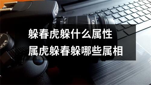 躲春虎躲什么属性 属虎躲春躲哪些属相