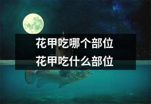 花甲吃哪个部位 花甲吃什么部位