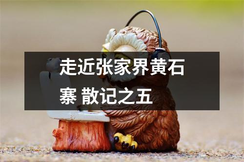 走近张家界黄石寨 散记之五 走近张家界黄石寨 散记之五