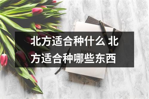 北方适合种什么 北方适合种哪些东西