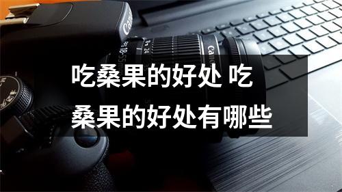 吃桑果的好处 吃桑果的好处有哪些
