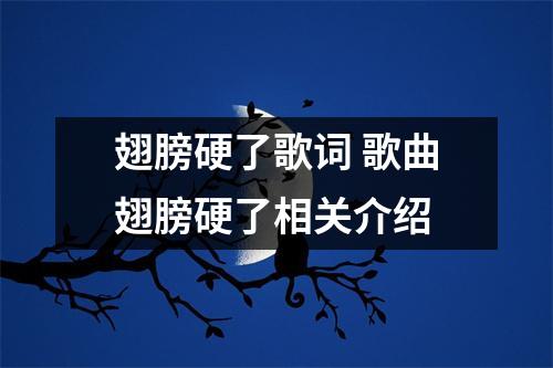 翅膀硬了歌词 歌曲翅膀硬了相关介绍 翅膀硬了歌词 歌曲翅膀硬了相关介绍